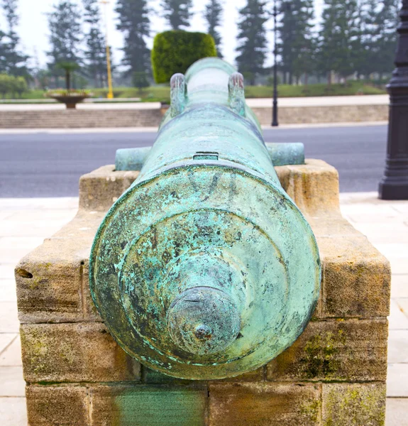 Bronze cannon in africa morocco  green  tree — Stock Photo, Image