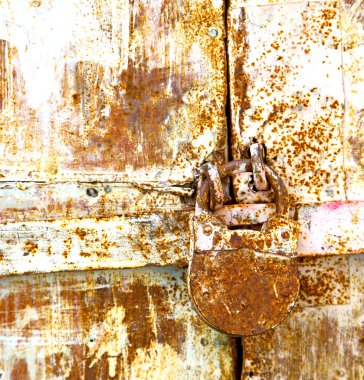 a nő kezében kék és fehér virágok csokor 