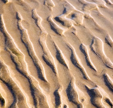 Dune Fas Afrika kahverengi kıyı şeridi atlan ıslak kum plaj