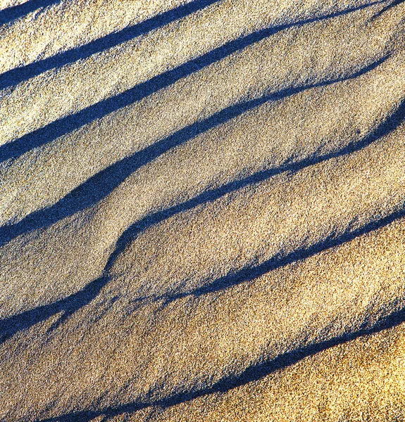Lanzarote испанской земле песок сухой и лишайников — стоковое фото
