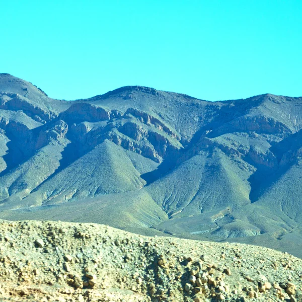 Bush  in    valley  morocco     africa the atlas dry mountain — Stock Photo, Image