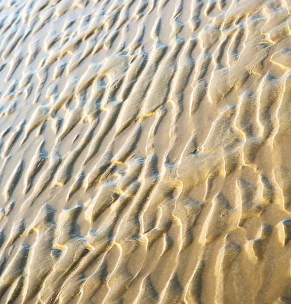 Dune morocco in africa brown coastline wet sand beach near atlan — Stock Photo, Image