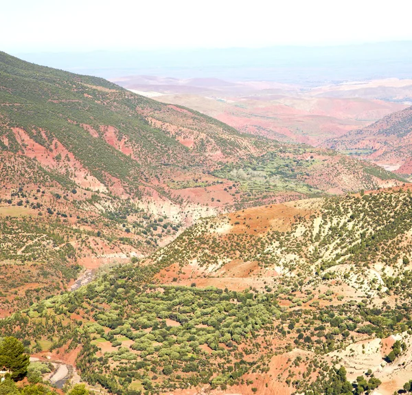 El valle dades en atlas moroco africa árbol de tierra y nobo — Foto de Stock