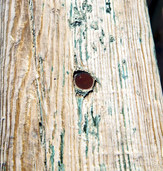 Clavo de metal sucia pintura desnuda en la puerta de madera marrón y oxidado —  Fotos de Stock