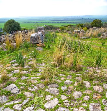 Volubilis Fas Afrika eski Roma bozulan anıt 