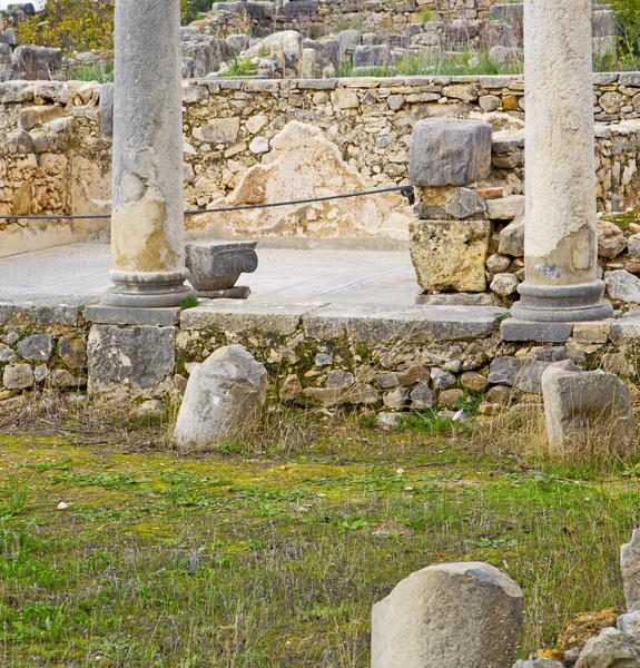 Volubilis en afrique marocaine l'ancien monument romain détérioré — Photo