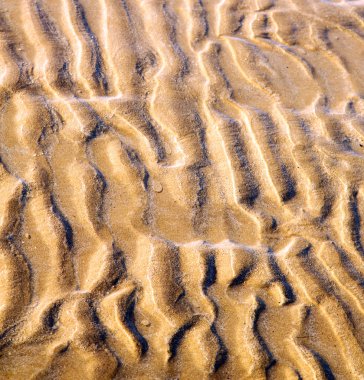 Dune Fas Afrika kahverengi kıyı şeridi atlan ıslak kum plaj