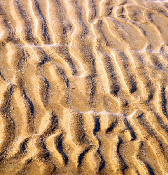 Dune morocco in africa brown coastline wet sand beach near atlan — Stock Photo, Image