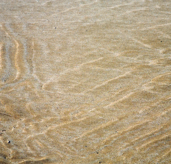 在非洲棕色海岸线湿沙滩附近奥特蓝沙丘摩洛哥 — 图库照片