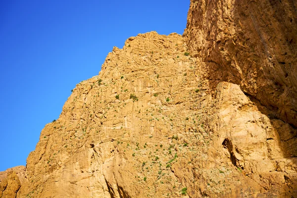 Της todra Αφρικής άτλαντα ξηρό βουνό — Φωτογραφία Αρχείου