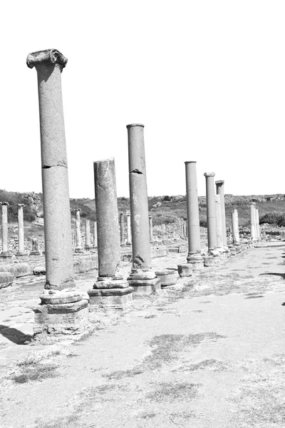Perge gamla konstruktion i Asien Turkiet kolumnen och romerska — Stockfoto