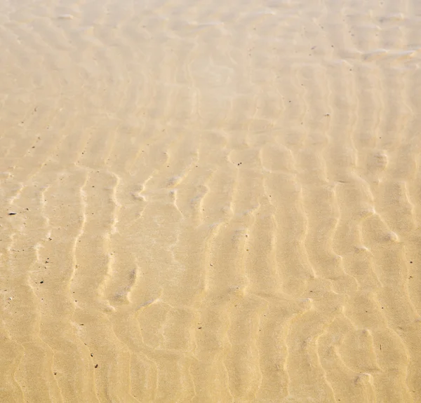 Αμμόλοφος Μαρόκο στην Αφρική καφέ ακτογραμμή υγρή άμμο της παραλίας κοντά σε atlan — Φωτογραφία Αρχείου