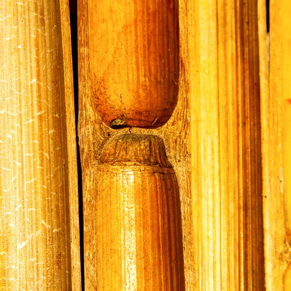 Thailand abstract   bamboo in the temple kho phangan bay — Stock Photo, Image