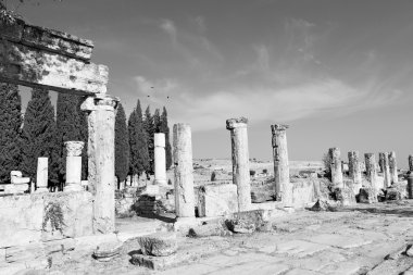 geçmiş pamukkale eski yapılar Asya Türkiye'de sütun