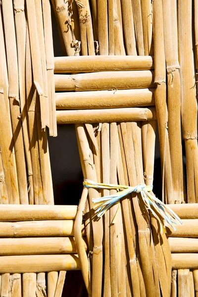 Textura de bambú en la línea de primer plano — Foto de Stock