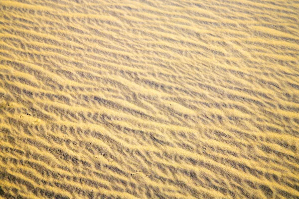 Африканская песчаная дюна — стоковое фото