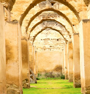 eski Fas tahıl ambarı yeşil çim ve kemerli duvar