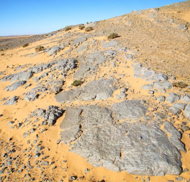  eski fosil morocco sahara ve rock taş gökyüzü çölde