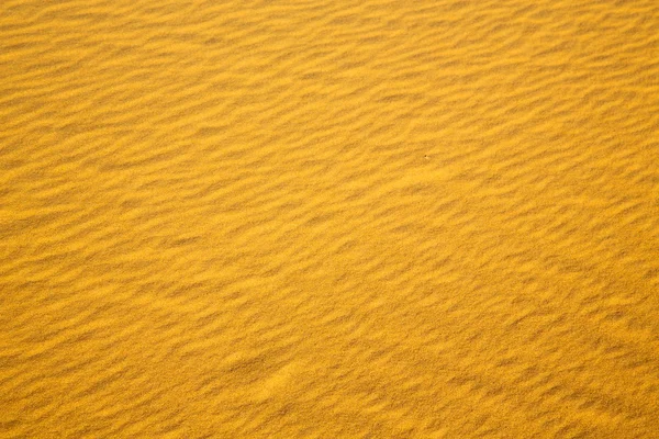 Africa la duna di sabbia marrone nel deserto del sahara marocco — Foto Stock