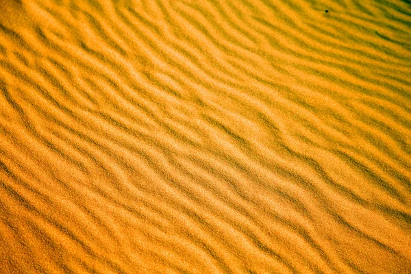 Afrika brun dune sahara Marocko linje — Stockfoto