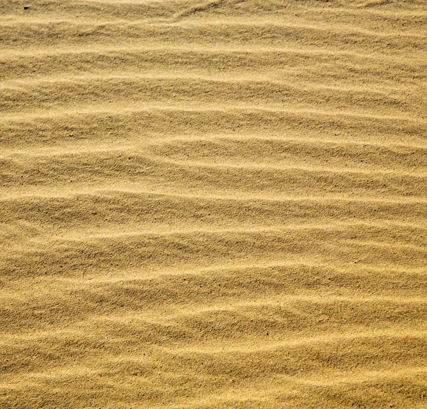 Afrika die braune sanddüne in sahara marokko wüstenlinie — Stockfoto