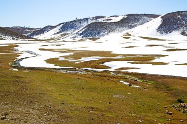 soyut renkler ve bulanık arka grup