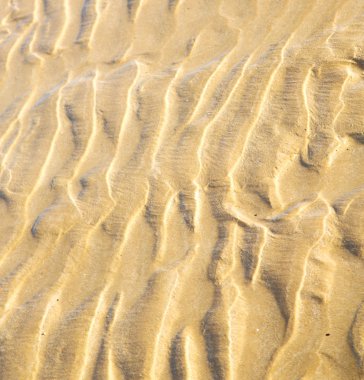 Dune Fas Afrika kahverengi kıyı şeridi atlan ıslak kum plaj