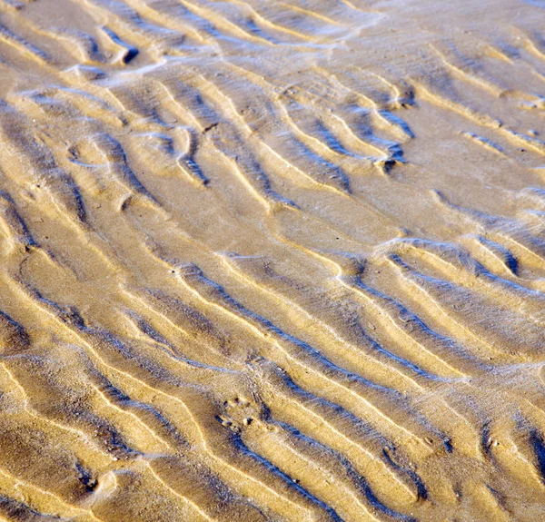 Dune morocco in africa brown coastline wet sand beach near atlan — Stock Photo, Image