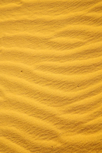 Brun sanddynen — Stockfoto
