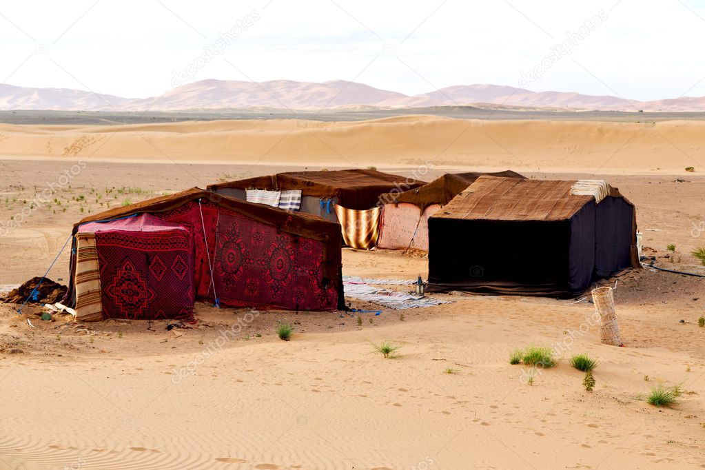 tent in  the desert of morocco   rock  stone    