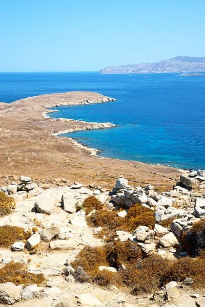 Buisson dans delos grec acropole historique et vieille ruine — Photo