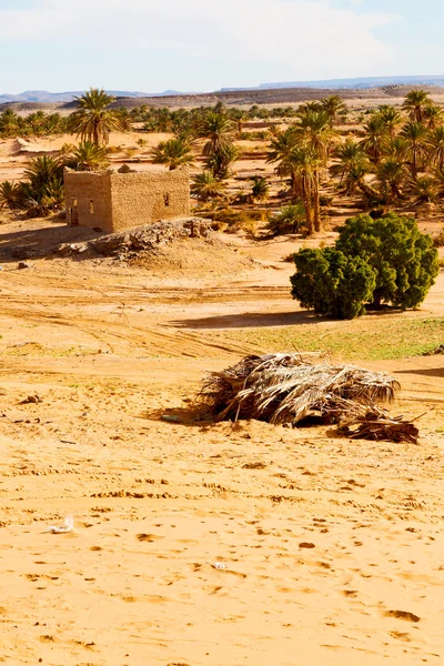 モロッコのサハラ砂漠アフリカ ヤシの古くて歴史 vi — ストック写真