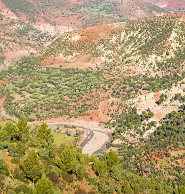 atlas Fas Afrika yere ağaç ve kimse dades vadide