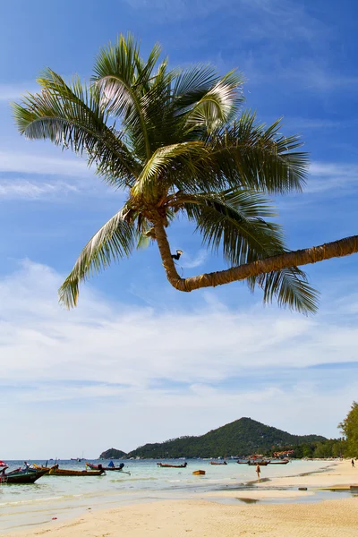 Sol ligt asia el kho tao sur china ancla de mar — Foto de Stock