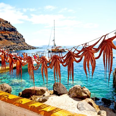 Güneş Avrupa'da kurutma ahtapot Yunanistan santorini ve ışık