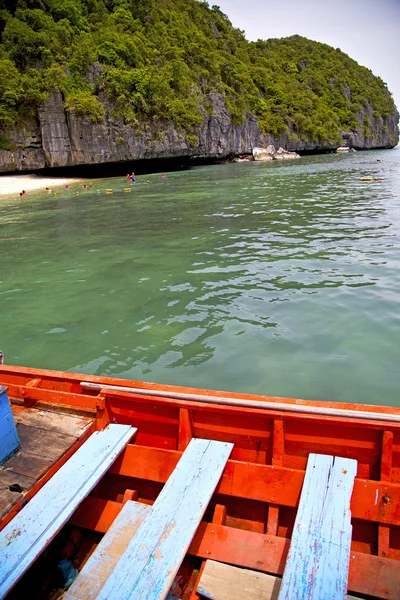 Bootsküste von a und tree South China Phangan Bay — Stockfoto