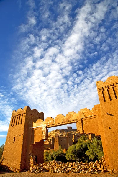 África em maroc histórico velho céu nublado planta — Fotografia de Stock