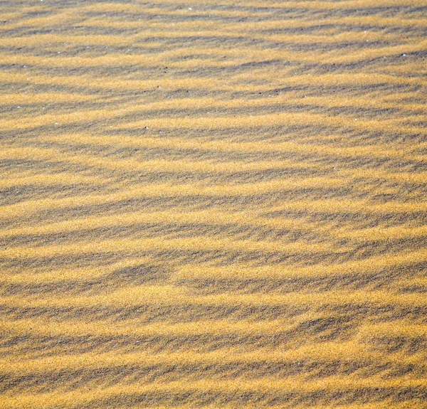 Afrika die braune sanddüne in sahara marokko wüstenlinie — Stockfoto