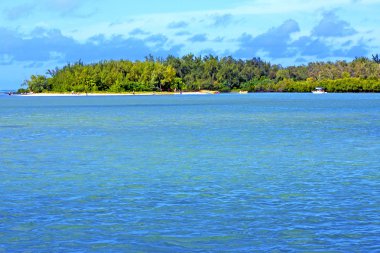 Plaj Ile du cerfs yosun insanlar rock