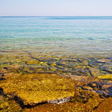kıyı şeridi gündoğumu ve hafif okyanus beyaz gökyüzü kahverengi taş