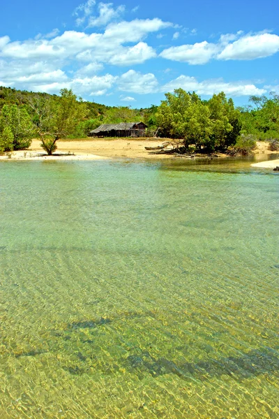 Entrometido ser playa algas en indio océano madagascar casa — Foto de Stock