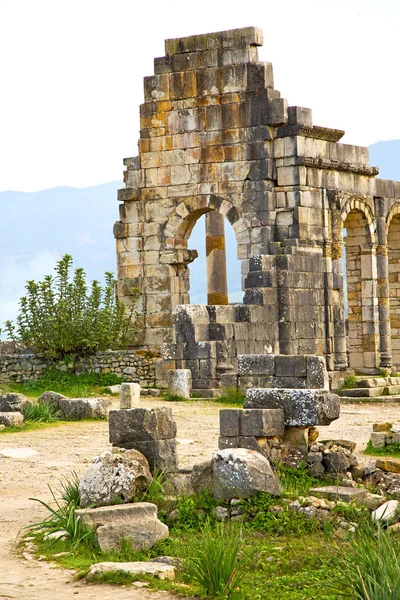 Volubilis em roman velho morocco deteriorado e local — Fotografia de Stock