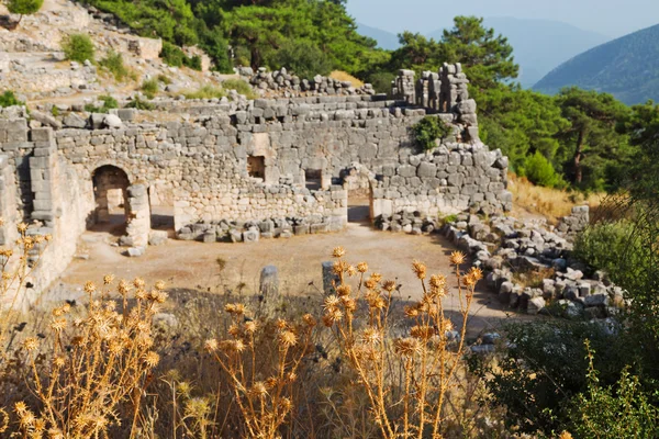 Rovine pietra e teatro in — Foto Stock