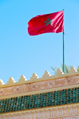 mavi renkli ve siperlerden bayrağı sallayarak Tunus  