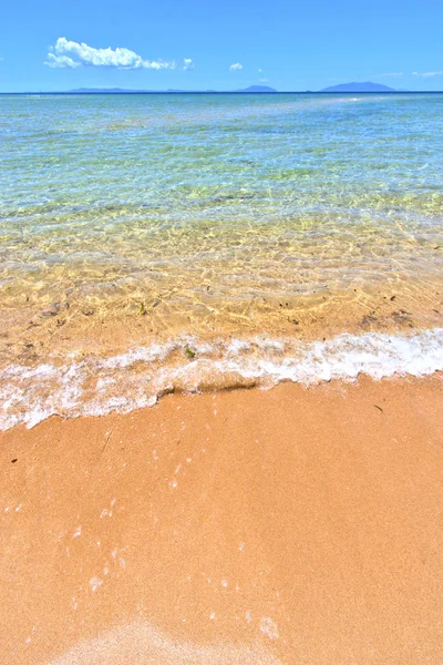 Algas de playa en el océano Índico entrometida ser — Foto de Stock