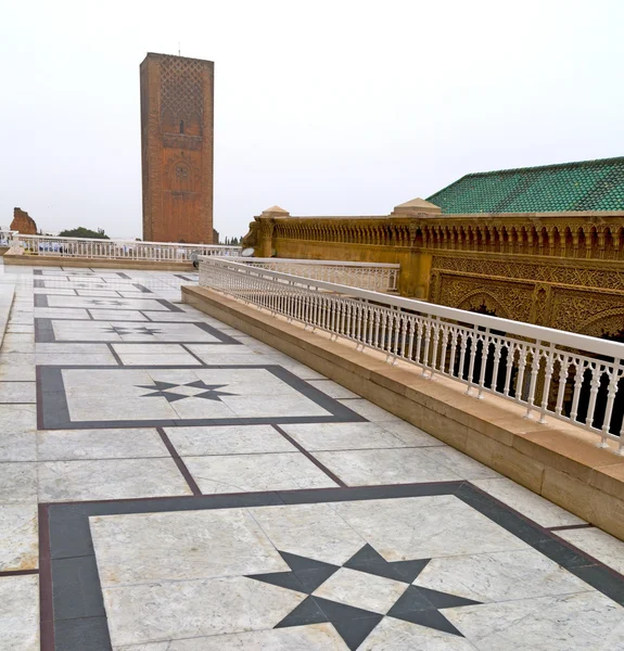 The   chellah  in morocco africa       old roman deteriorated mo — Stock Photo, Image