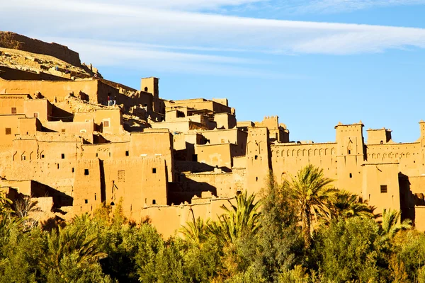 África no morocco a palma velha — Fotografia de Stock