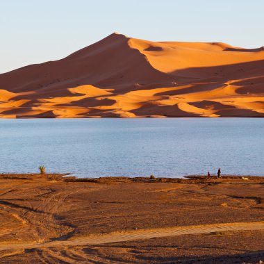 Göldeki güneş ışığı Fas 'taki sarı çöl ve kum tepesi