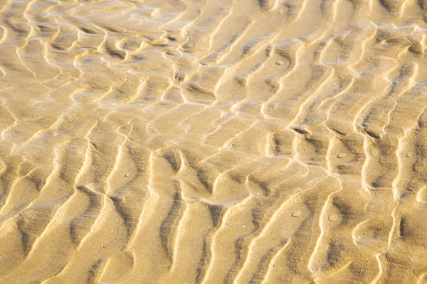 Dune morocco in africa brown   wet sand beach ocean — Stock Photo, Image