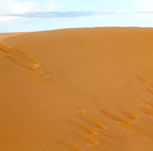 Sol en el desierto de arena y dunas de morocco —  Fotos de Stock